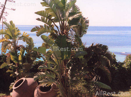 Grecian Sands Hotel 14